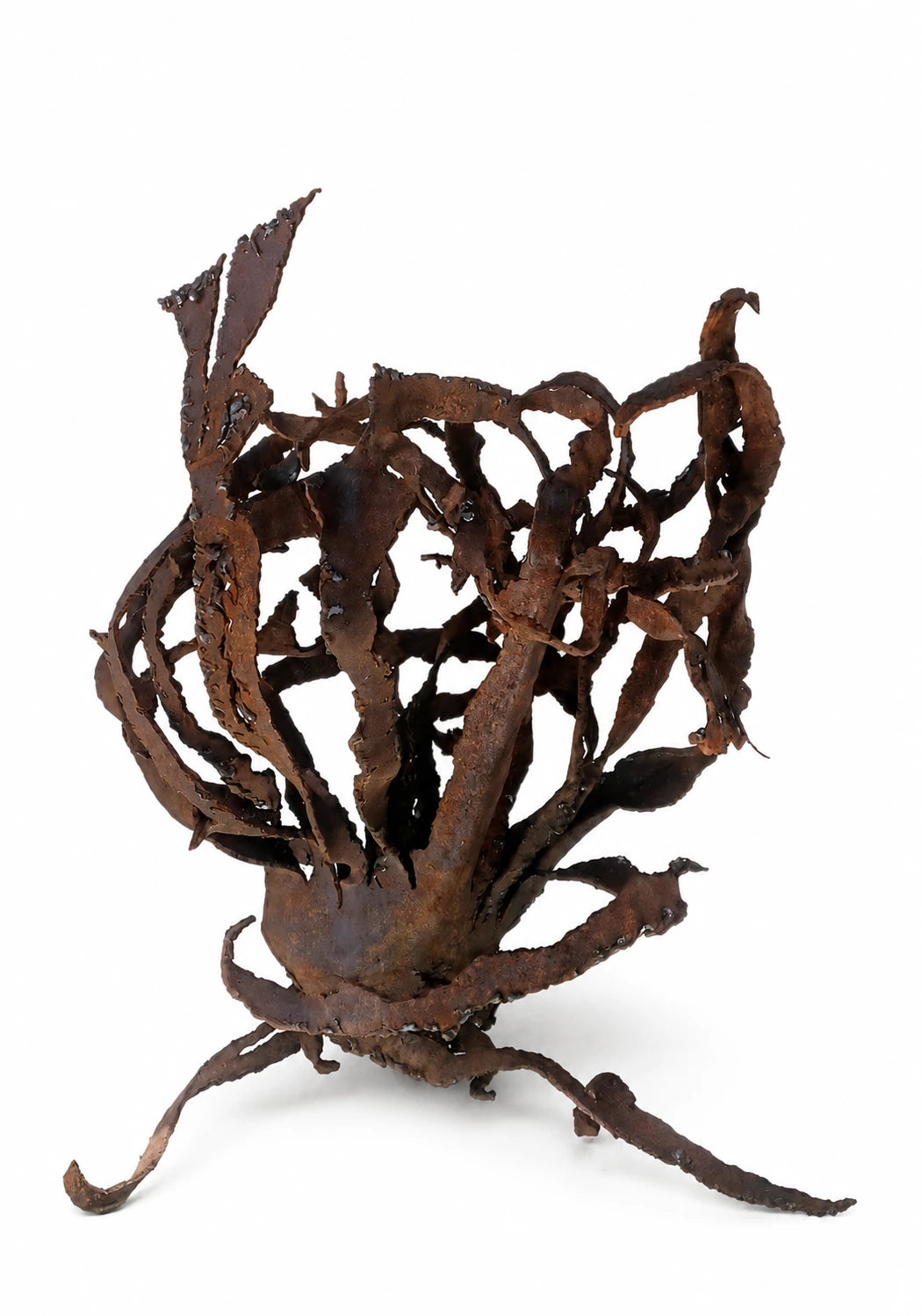 Sculpture abstraite en fer rouillé – “Corolle Sauvage”
